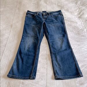 Anthropologie Pilcro and The Letterpress Blue Cropped Flare Stet Jeans Size 28